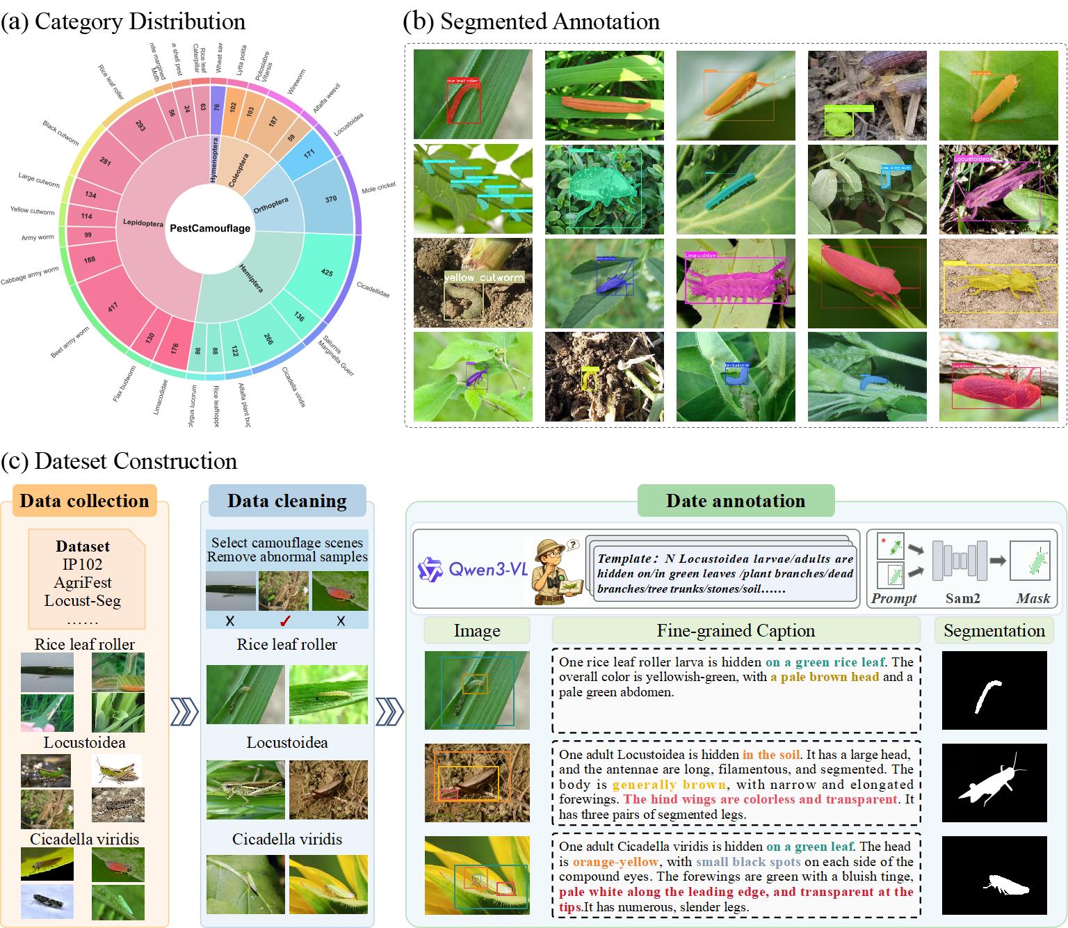 Overview of the PestCamouflage dataset